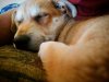 IMG_20180417_090530_472.jpg