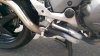 IMAG0785.jpg