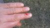 20180421_183612.jpg