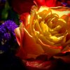 IMG_20180422_141748_248.jpg