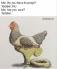 toddler.jpg