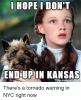 i-hope-i-dont-endup-in-kansas-theres-a-tornado-2967500.png
