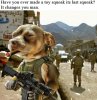 FB_IMG_1526437269204.jpg