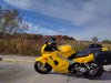 IMG_20161105_121541.jpg