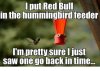 FB_IMG_1528170886239.jpg