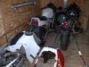 P1100048.JPG