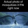 FB_IMG_1530539399280.jpg
