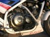 DSCN4086.jpg