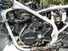bike 017.jpg