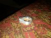 IMG00016-20090905-1114_2.jpg
