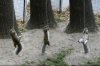 squirrels.jpg