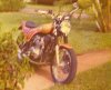 Yoshimura 605 Honda  Tracy 500-4.jpg