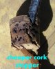 cork stopper.jpg