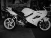 IMG_0760.jpg