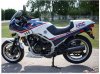 gallery_8118_4659_373305.jpg