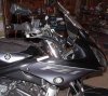 fz10006.jpg