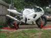 img0477l.jpg