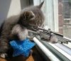 Bad Day 4 Dangerous Pussy.jpg