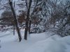 100_2842.jpg