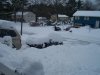 100_2843.jpg