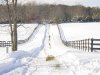 snow5.jpg