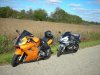 DSCN1290.jpg