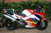 taz006.jpg