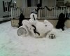 01-11-10_1306.jpg
