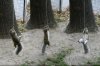 squirrels.jpg