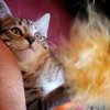 IMG_20180714_083634_575.jpg