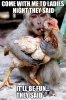 chicken-party.jpg
