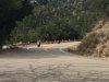 two red bikes in Canyons of california.jpg