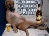 alc.jpg