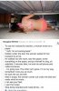 FB_IMG_1534389928699.jpg