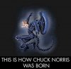 chuck.jpg