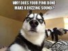 SDL-funny-racy-meme-Aug29p-16.jpg