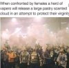 rVczK6j.jpg