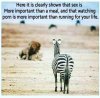 FB_IMG_1538083596555.jpg