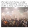 FB_IMG_1538133883542.jpg