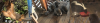 Screen Shot 2018-10-12 at 5.06.01 PM.png
