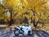 20181027_133944.jpg