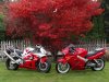 DSC02592.JPG