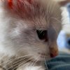IMG_20181017_134810_868.jpg