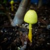 IMG_20181005_182537_644.jpg