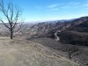 100_7478.JPG
