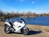 FB_IMG_1549228799246.jpg