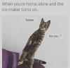 FB_IMG_1550425634487.jpg