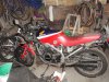 DSC03582.jpg