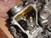 DSC03586.jpg