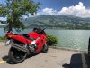 IMG_9866.jpg